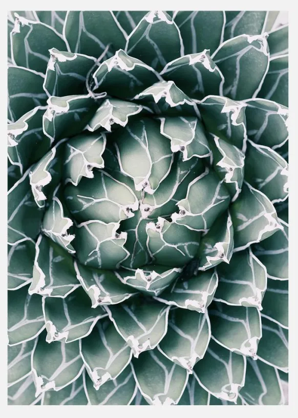 Plant Canvastavla (30x40 cm)