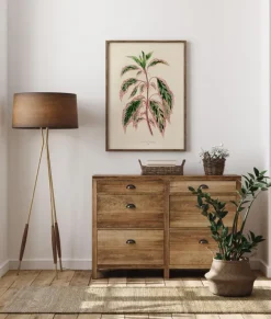 Plectranthus Scutellarioides III Poster (21x29.7 cm (A4))