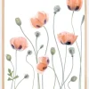 Poppies Poster (21x29.7 cm (A4))