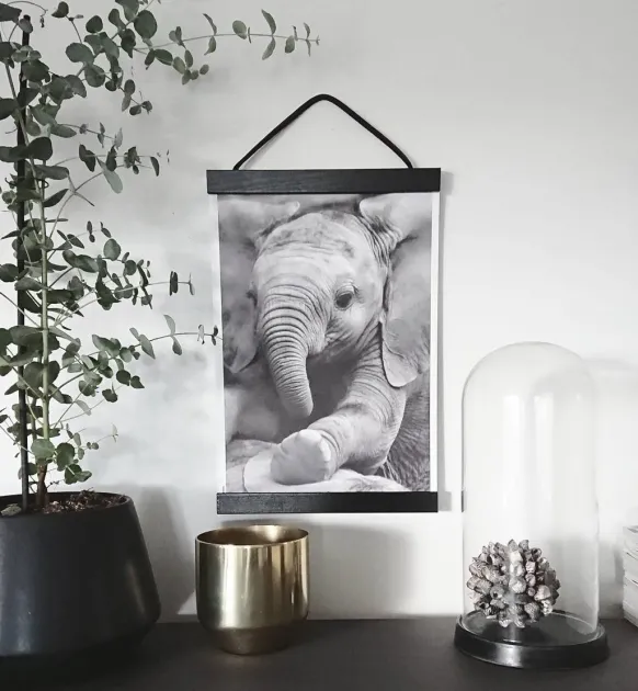 Posterhängare Svart - 30 cm