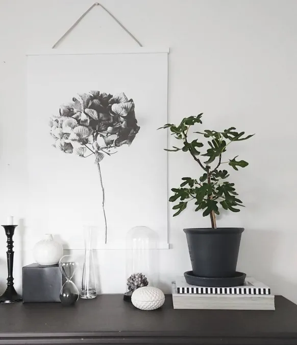 Posterhängare Vit - 60 cm