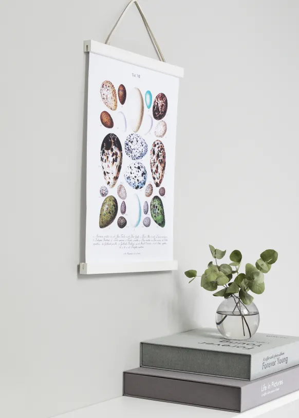 Posterhängare Vit - 21 cm