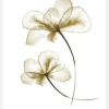 Pressed Flowers Canvastavla (30x40 cm)