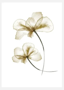 Pressed Flowers Canvastavla (30x40 cm)