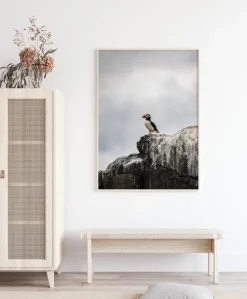 Puffin Poster (21x29.7 cm (A4))