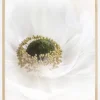 Pure Poster (21x29.7 cm (A4))