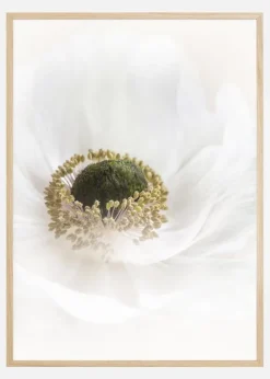 Pure Poster (21x29.7 cm (A4))