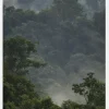 Rainforest Canvastavla (30x40 cm)
