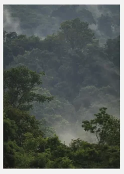 Rainforest Canvastavla (30x40 cm)