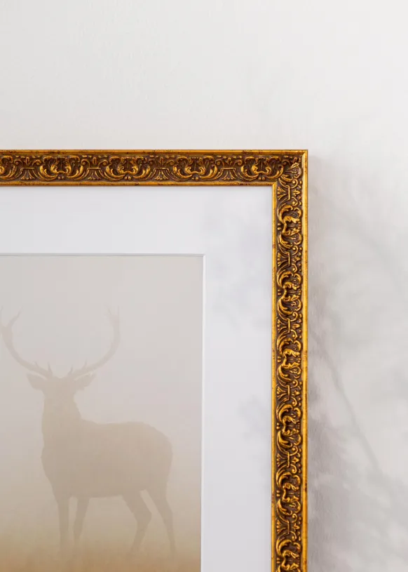Ram Amber Guld 60x80 cm
