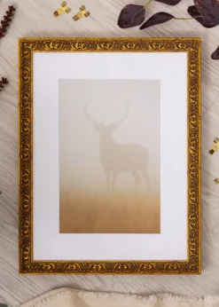 Ram Amber Guld 60x80 cm