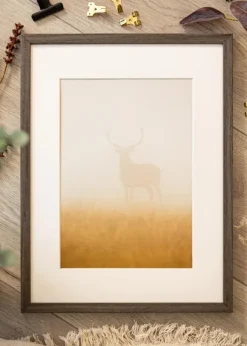 Ram Ares Grå Ek 20x30 cm - Passepartout Vit 15x22 cm