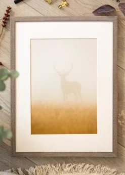Ram Ares Grå 40x40 cm - Passepartout Vit 29x29 cm