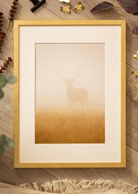 Ram Ares Guld 29,7x42 cm (A3)