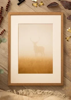 Ram Ares Mässing 30x40 cm - Passepartout Vit 21x30 cm