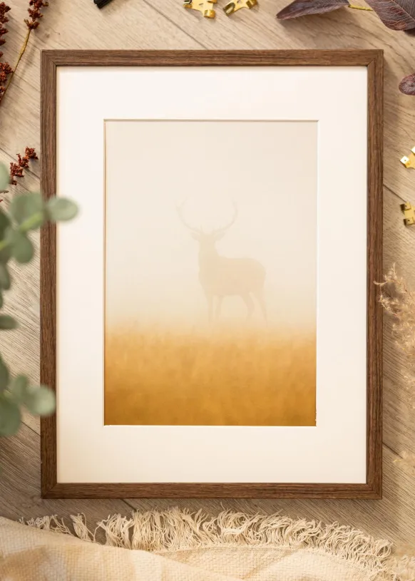 Ram Ares Valnöt 20x25 cm - Passepartout Vit 5x7 inches