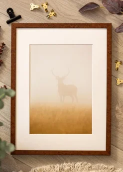 Ram Ares Valnöt 20x30 cm - Passepartout Vit 10x20 cm