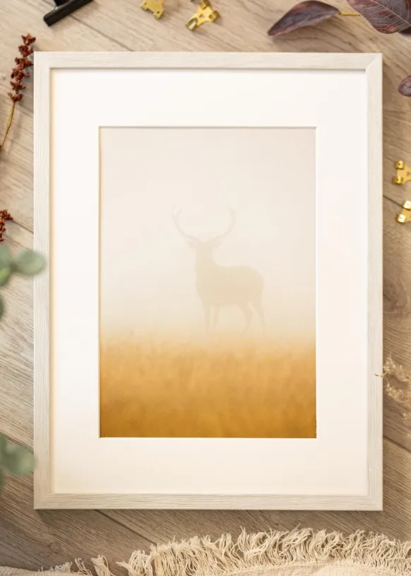 Ram Ares Vit Ek 30x40 cm - Passepartout Vit 20x28 cm