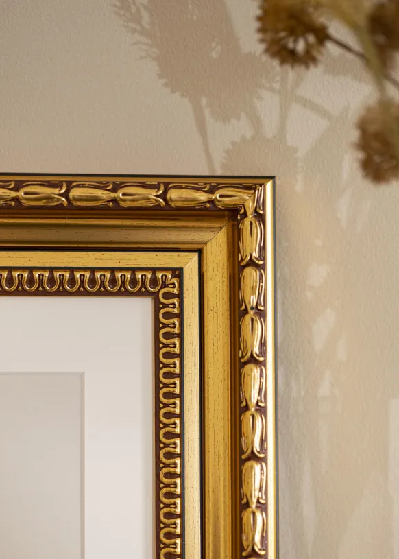 Ram Birka Premium Glas Guld 20x25 cm