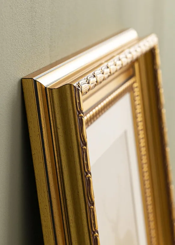 Ram Birka Premium Glas Guld 20x25 cm