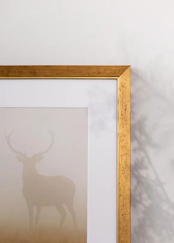 Ram Brema Guld 30x40 cm