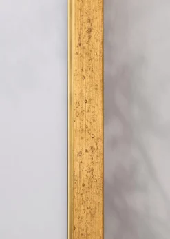 Ram Brema Guld 30x40 cm