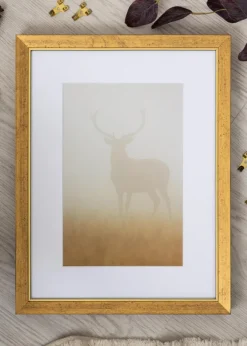 Ram Brema Guld 30x40 cm