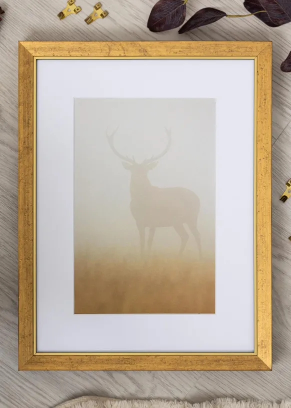 Ram Brema Guld 30x40 cm