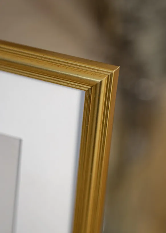 Ram Carl Glas Guld 50x70 cm