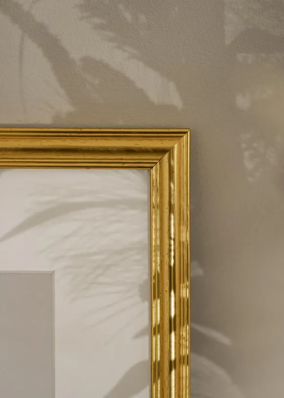 Ram Carl Glas Guld 50x70 cm