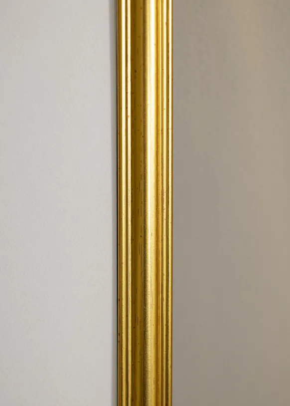 Ram Carl Glas Guld 50x70 cm