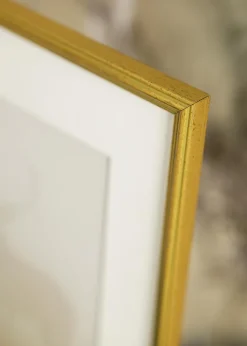 Ram Classic Glas Guld 20x30 cm