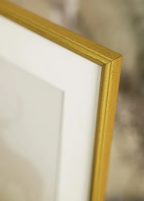 Ram Classic Glas Guld 13x18 cm
