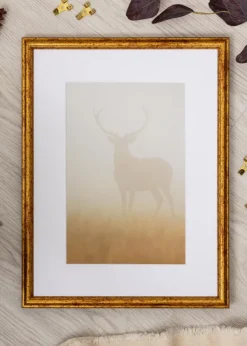 Ram Claudia Guld 20x30 cm