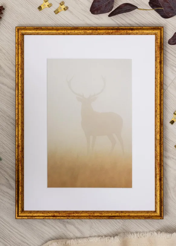 Ram Claudia Guld 50x70 cm