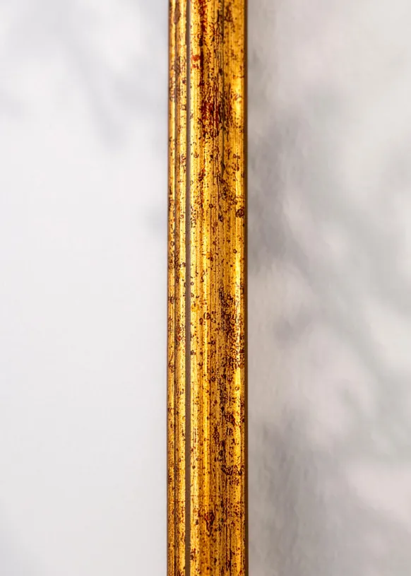 Ram Claudia Guld 70x100 cm