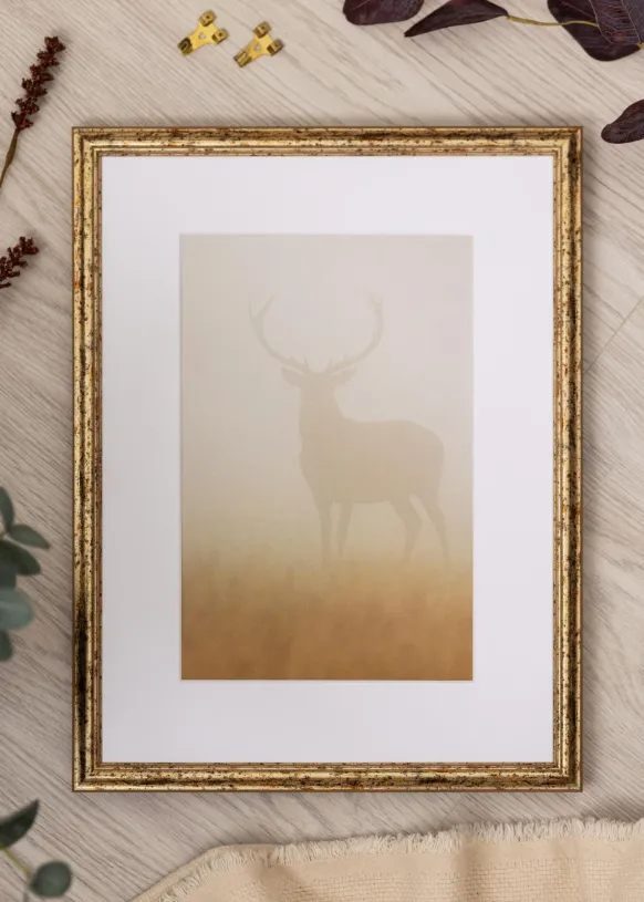 Ram Claudia Silver 20x30 cm