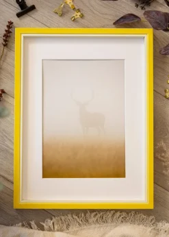 Ram Diana Gul 30x40 cm - Passepartout Vit 20x30 cm