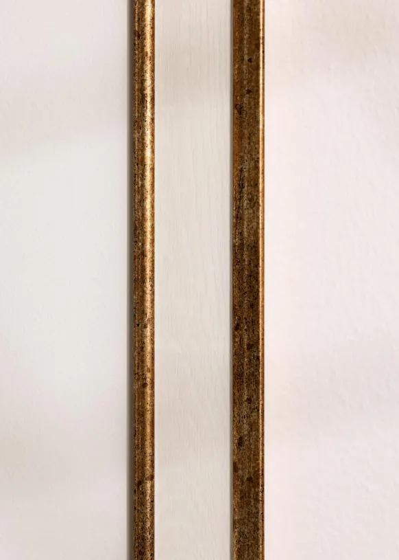 Ram Dolly Guld 40x40 cm
