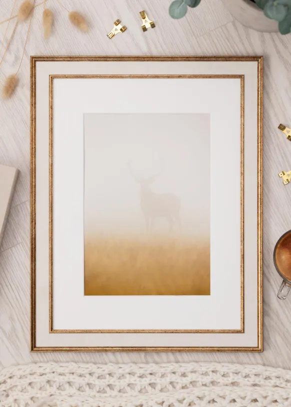 Ram Dolly Guld 40x40 cm