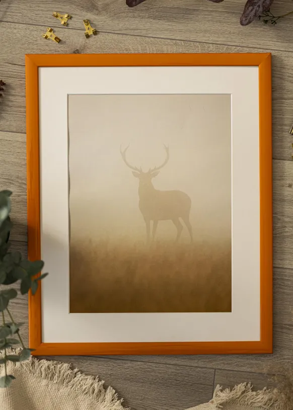 Ram Dorset Orange - Valfri Storlek (Akrylglas)