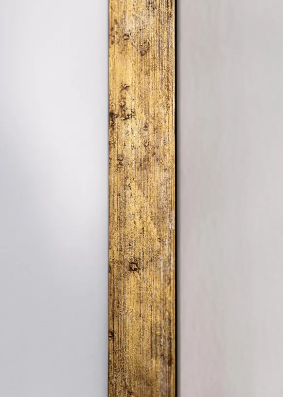 Ram Dune Guld 40x50 cm