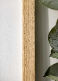 Ram Edsbyn Ek 9x11 inches (22,86x27,94 cm)
