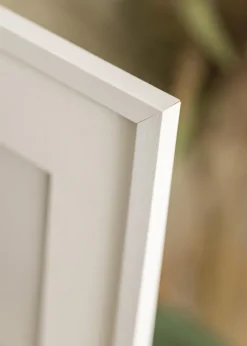 Ram Edsbyn Glas Vit 30x50 cm