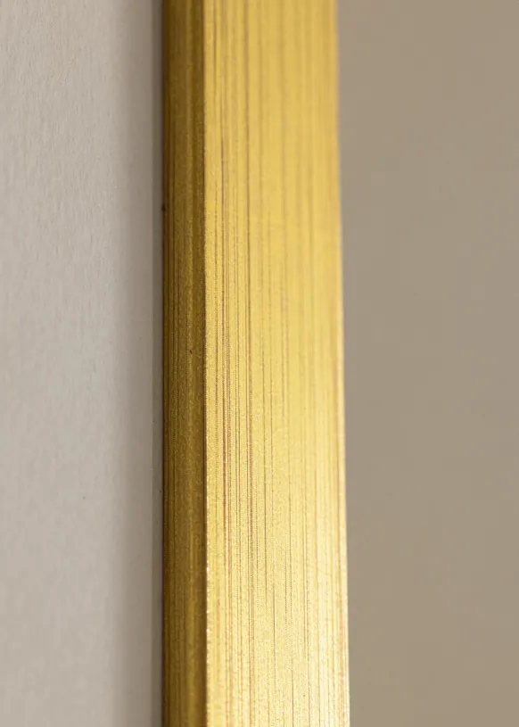 Ram Falun Guld 24x30 cm