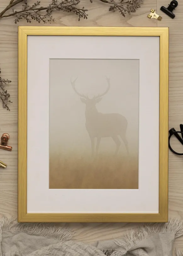 Ram Falun Guld 30x30 cm - Passepartout Vit 20x20 cm