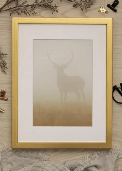 Ram Falun Guld 70x100 cm - Passepartout Vit 59,4x84 cm (A1)