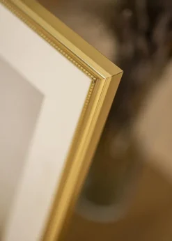 Ram Gala Guld 21x30 cm