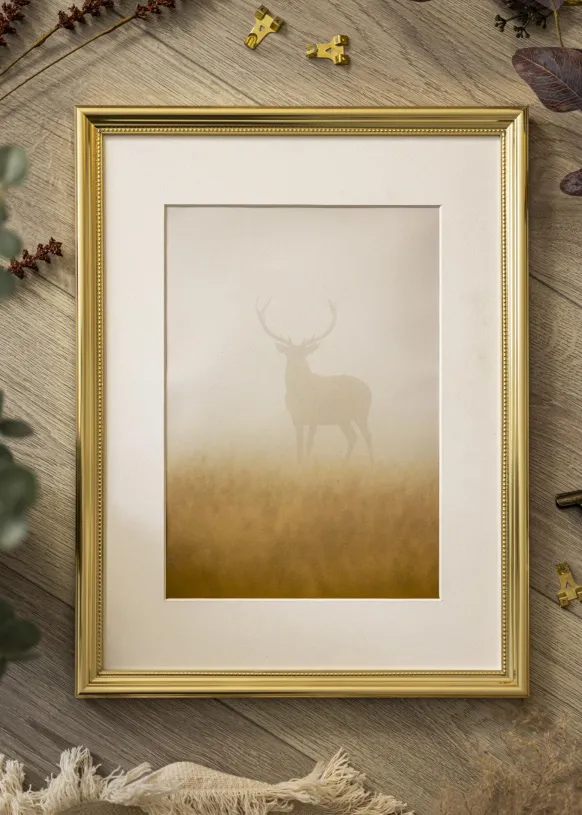 Ram Gala Guld 40x60 cm