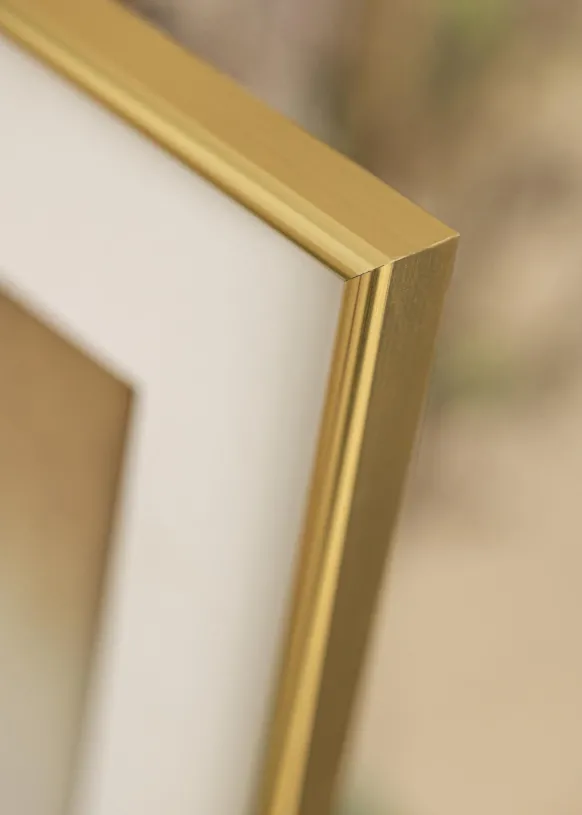 Ram Galeria Glas Guld 9x13 cm